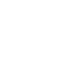 Aesthetic Icon